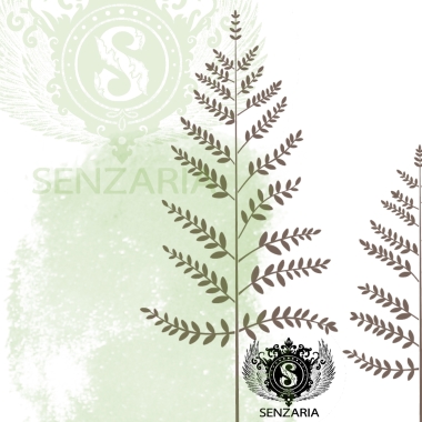 Трафарет - Полевые травы набор