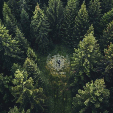 Трансфер - Полёт